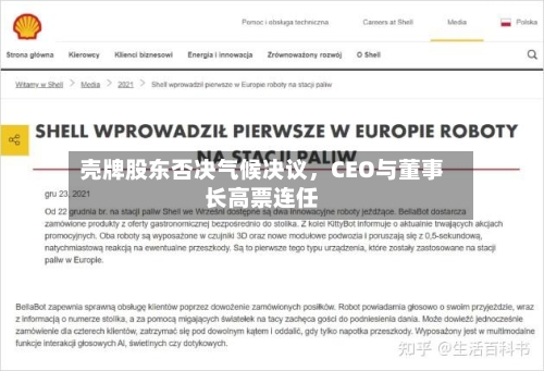 壳牌股东否决气候决议，CEO与董事长高票连任-第2张图片