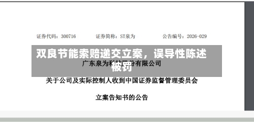 双良节能索赔递交立案，误导性陈述被罚-第2张图片