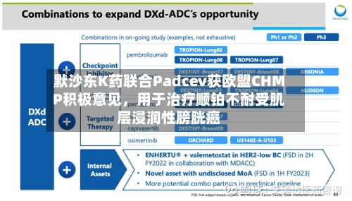 默沙东K药联合Padcev获欧盟CHMP积极意见	，用于治疗顺铂不耐受肌层浸润性膀胱癌-第2张图片