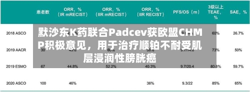 默沙东K药联合Padcev获欧盟CHMP积极意见，用于治疗顺铂不耐受肌层浸润性膀胱癌