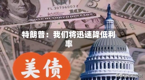 特朗普:我们将迅速降低利率-第2张图片