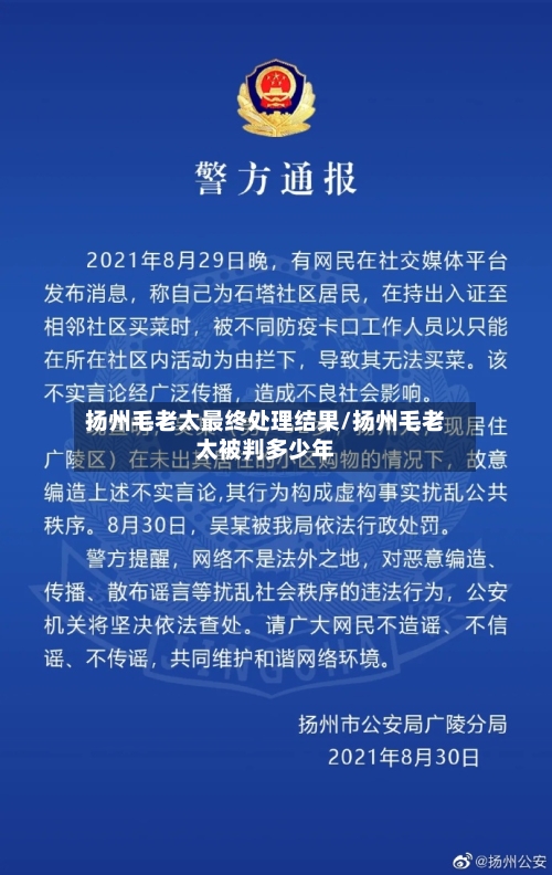 扬州毛老太最终处理结果/扬州毛老太被判多少年