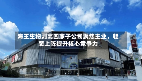 海王生物剥离四家子公司聚焦主业，轻装上阵提升核心竞争力-第2张图片