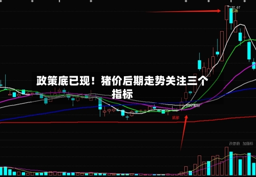政策底已现!猪价后期走势关注三个指标-第2张图片