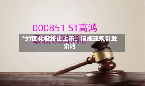 *ST国化被终止上市，信披违规引发索赔-第3张图片
